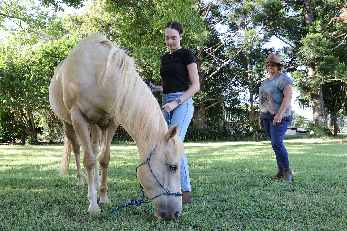 Equine Assisted Learning