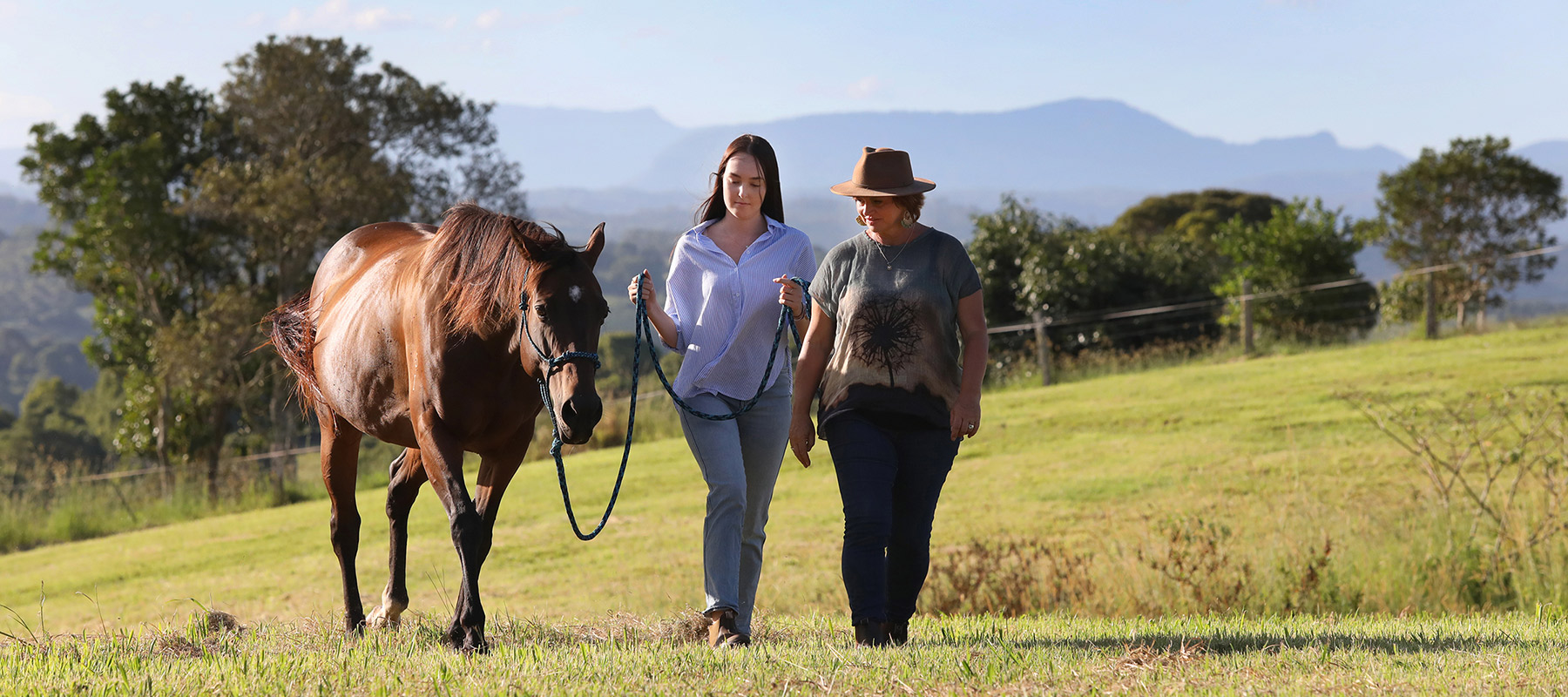 Equine Assisted Therapy