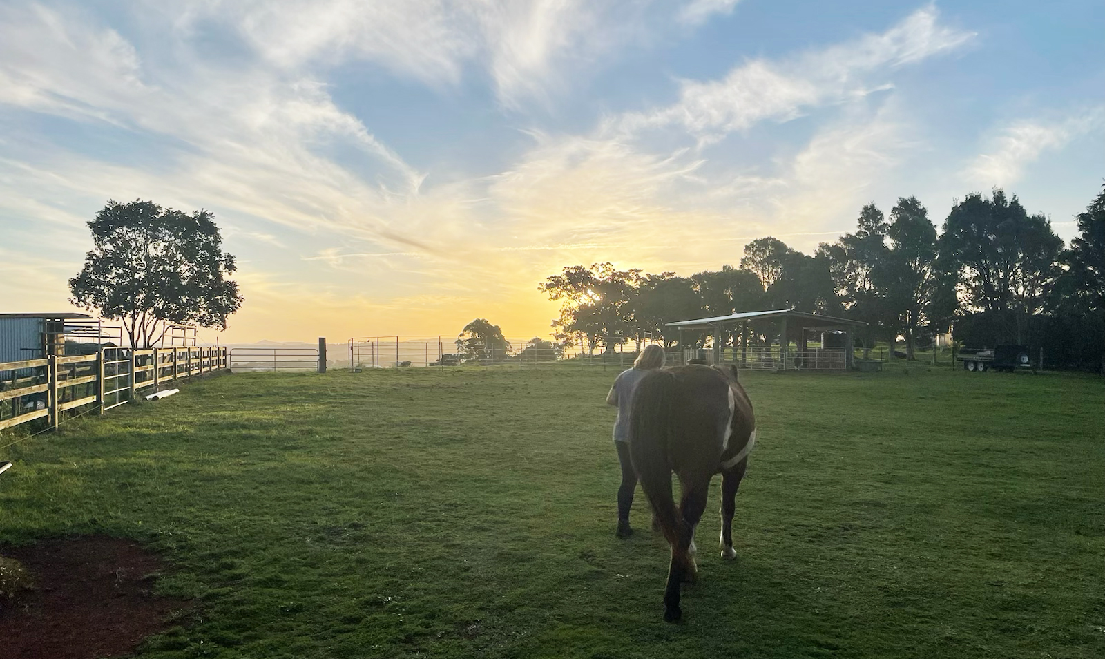Equine Assisted Learning