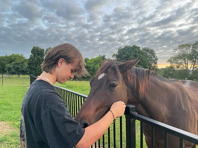 Individual Equine Assisted Learning (EAL) sessions